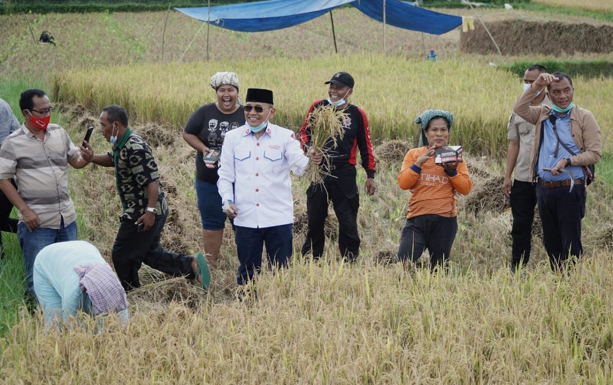 Petani Disebut Soko Guru Ekonomi Indonesia oleh Anggota DPR