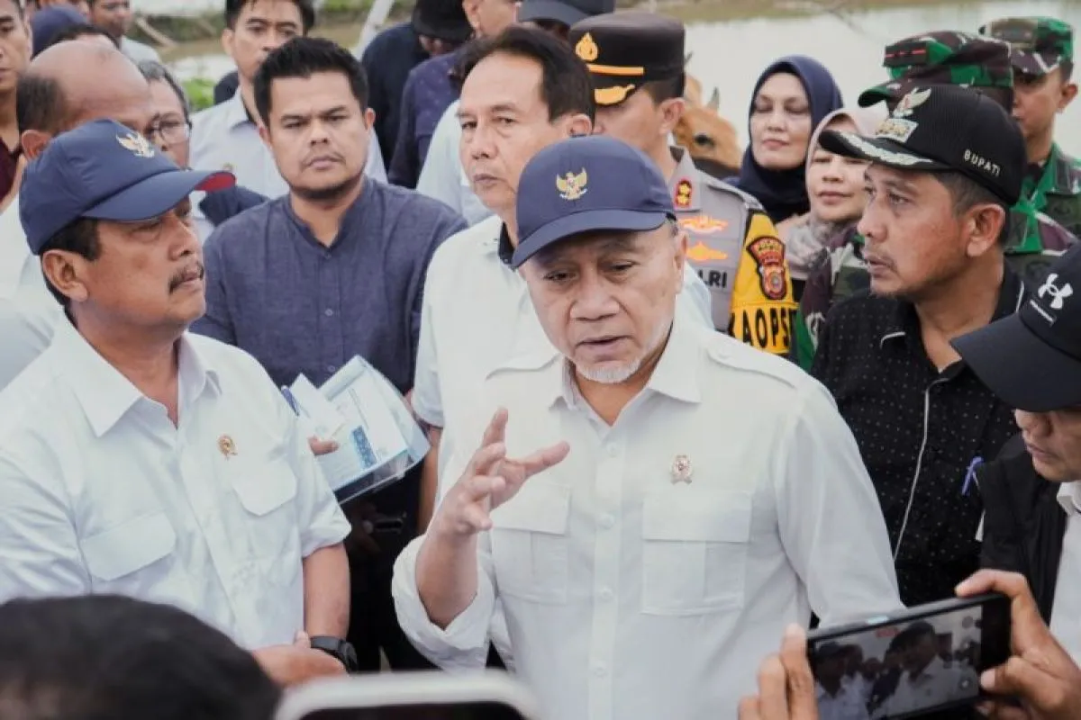 Langkah Cepat Menko Pangan Pulihkan Sektor Pertanian Aceh Usai Banjir