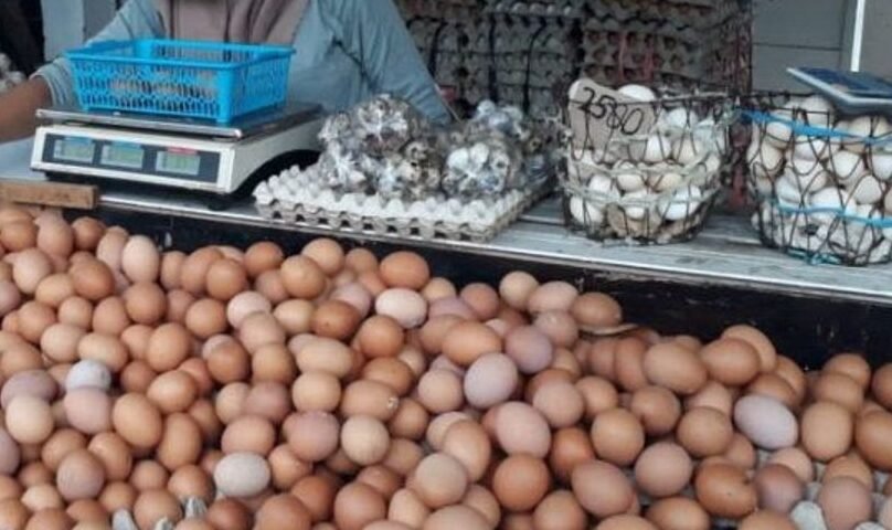Harga Cabai Rawit Merah Kini Rp67.300/Kg, Telur Ayam Ikut Melambung