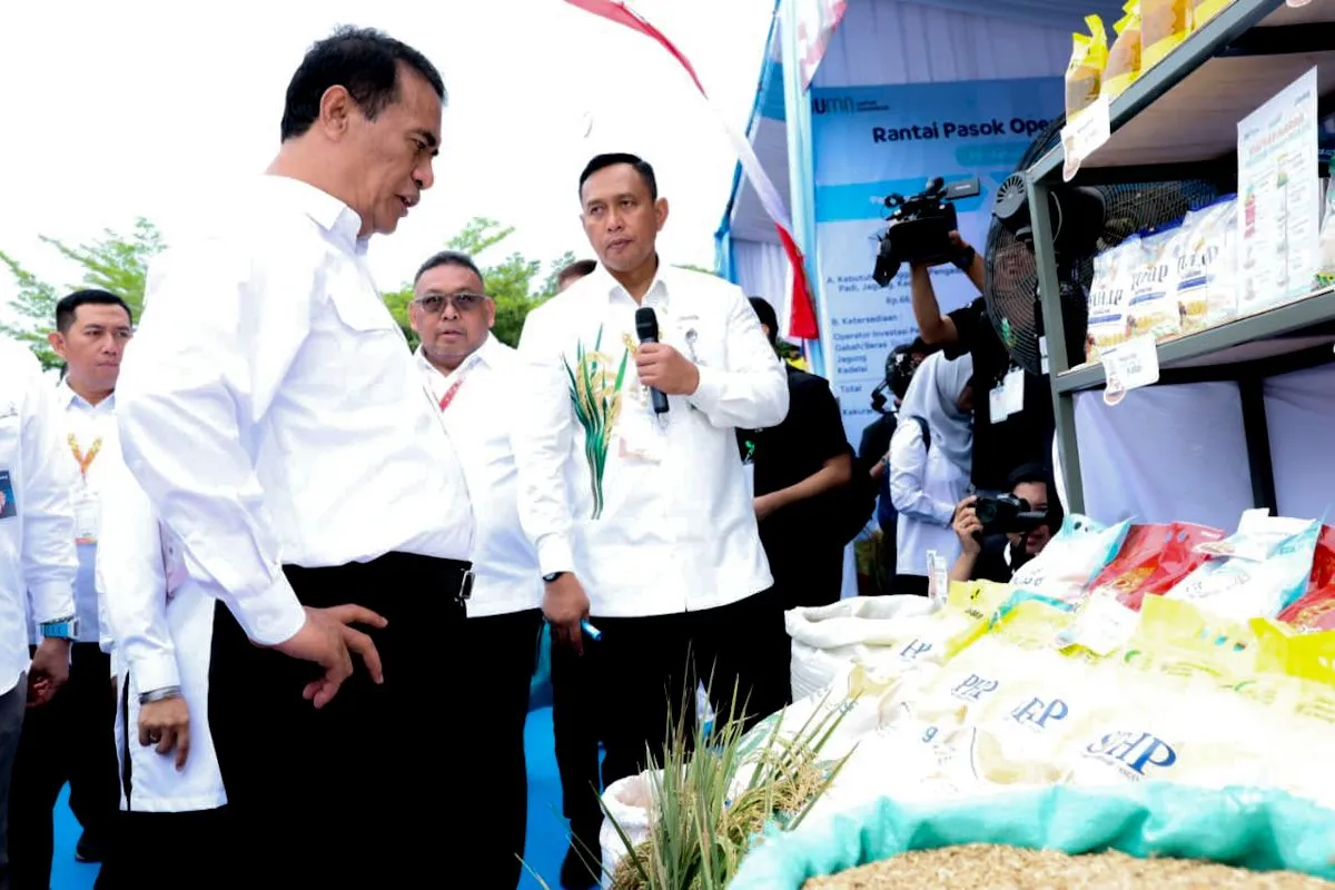 Kawal Swasembada Pangan, Bulog Percepat Penyerapan Gabah Petani di Seluruh Indonesia