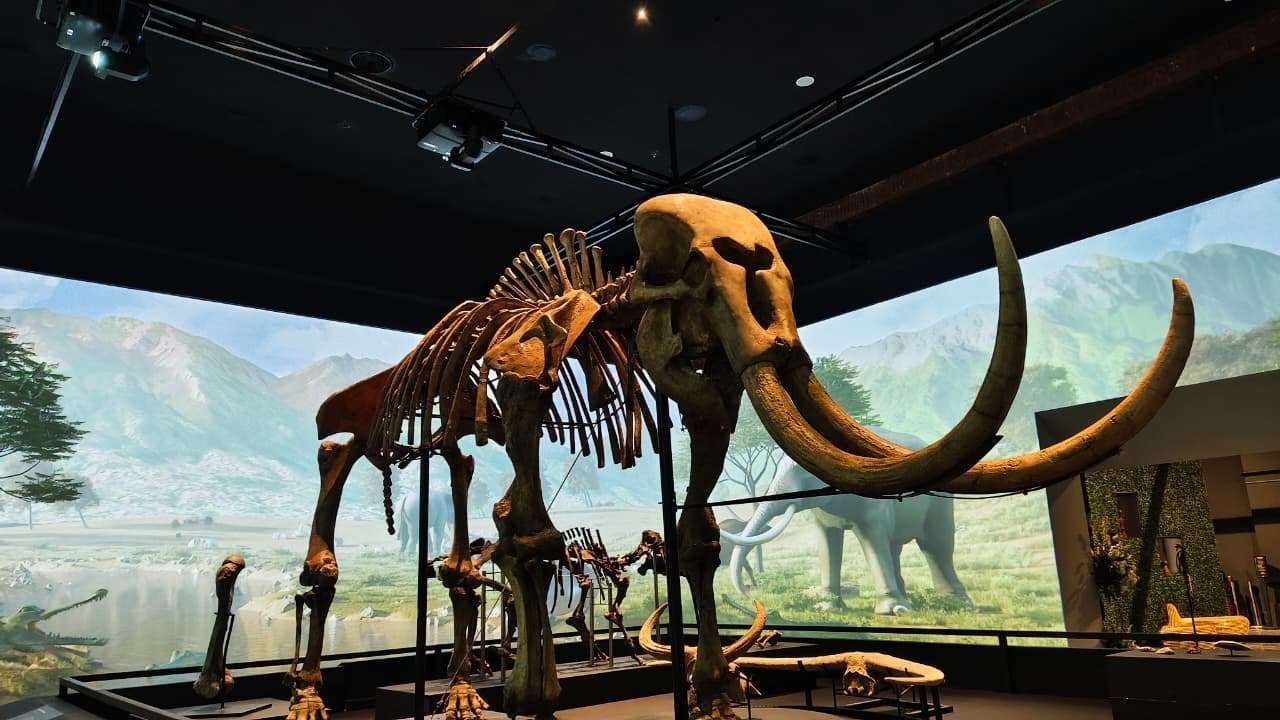 Harga Tiket Museum Nasional Naik, 3 Kelompok Ini Tetap Masuk Gratis