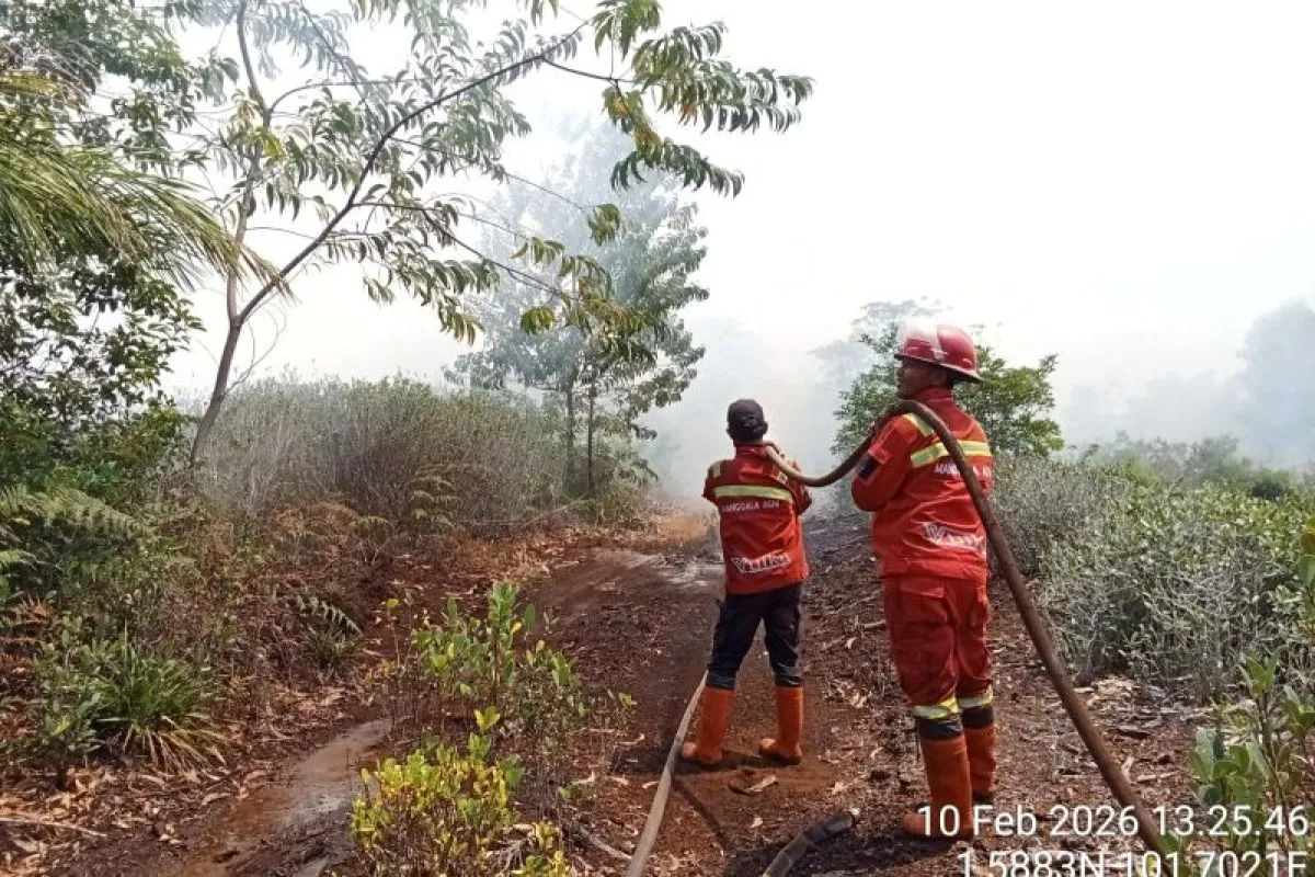 Riau Siaga Karhutla: Lima Wilayah Resmi Tetapkan Status Darurat Kebakaran Hutan