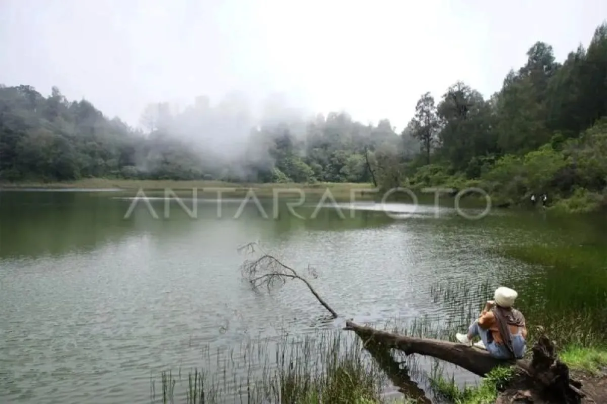 Hindari Bahaya Cuaca Ekstrem, TNBTS Tutup Akses Wisata ke Ranu Regulo