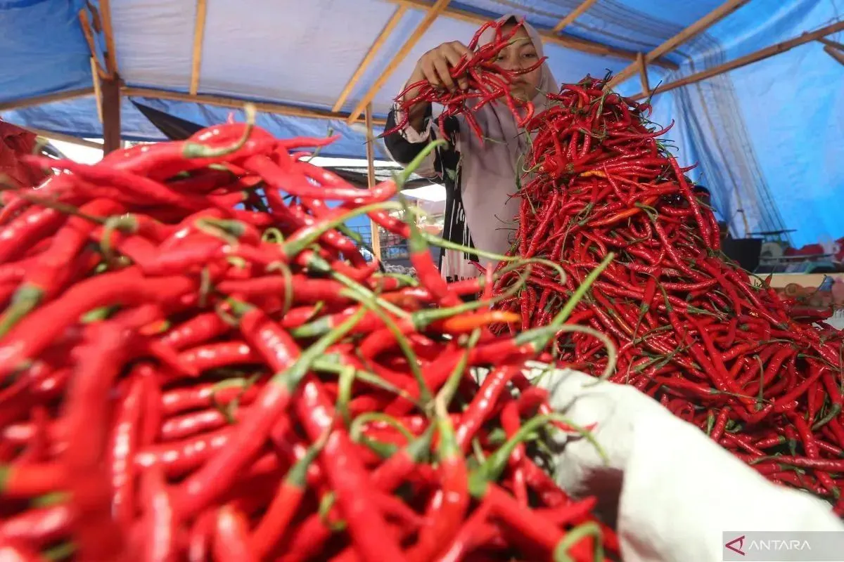 Daftar Harga Sembako Hari Ini: Cabai Rawit Masih Tinggi, Daging Ayam Mulai Stabil di Rp31.950