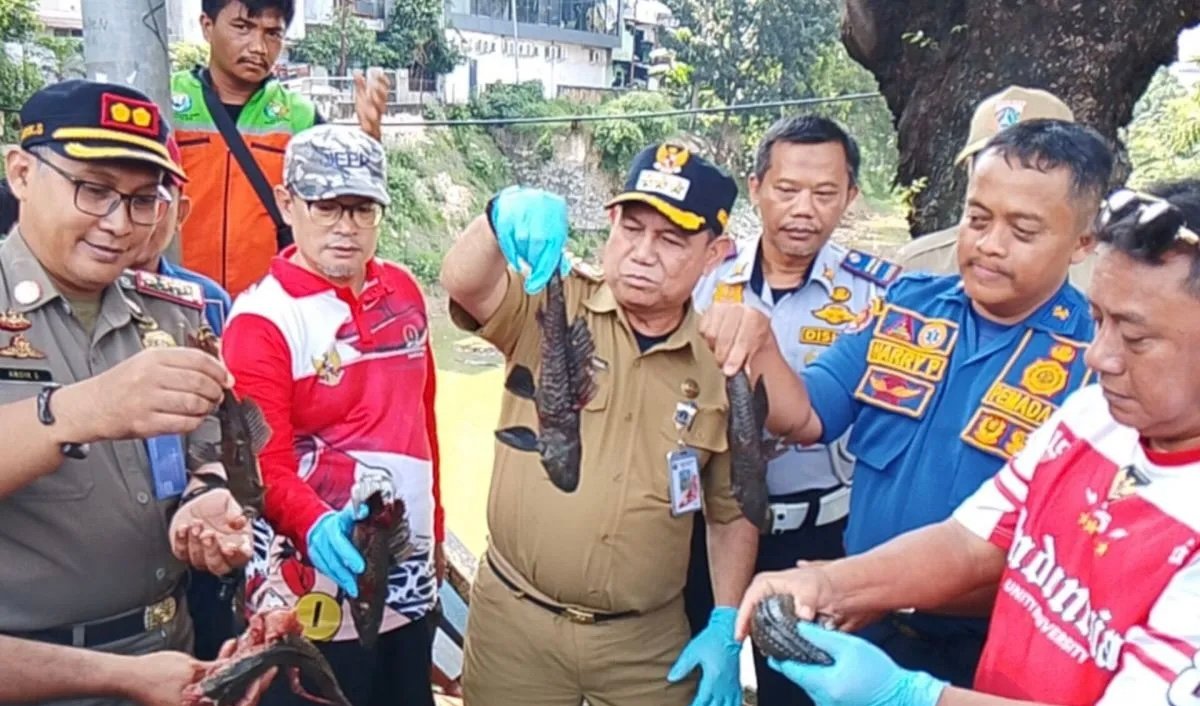 Cegah Spesies Invasif, KPKP Jaktim Masifkan Tangkap Ikan Sapu-Sapu