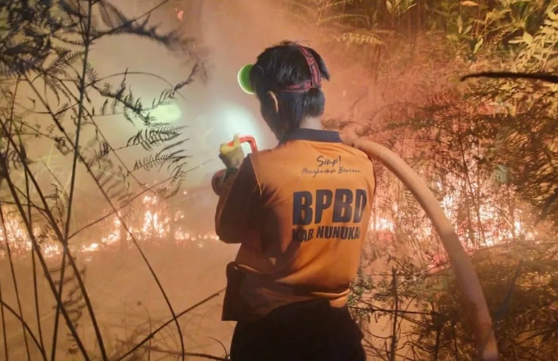 BNPB Selidiki Penyebab Karhutla yang Terjadi di Kalimantan Utara