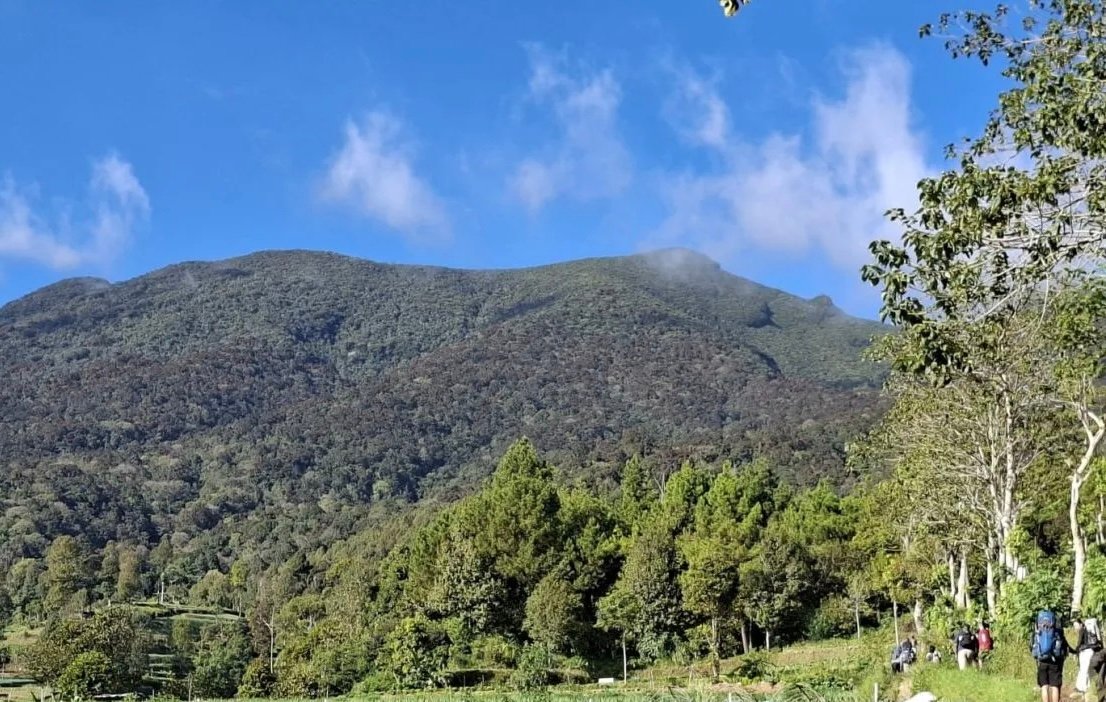 TNGGP Tutup Jalur Pendakian Gunung Gede Pangrango Selama Dua Hari TNGGP Tutup Jalur Pendakian Gunung Gede Pangrango Selama Dua Hari