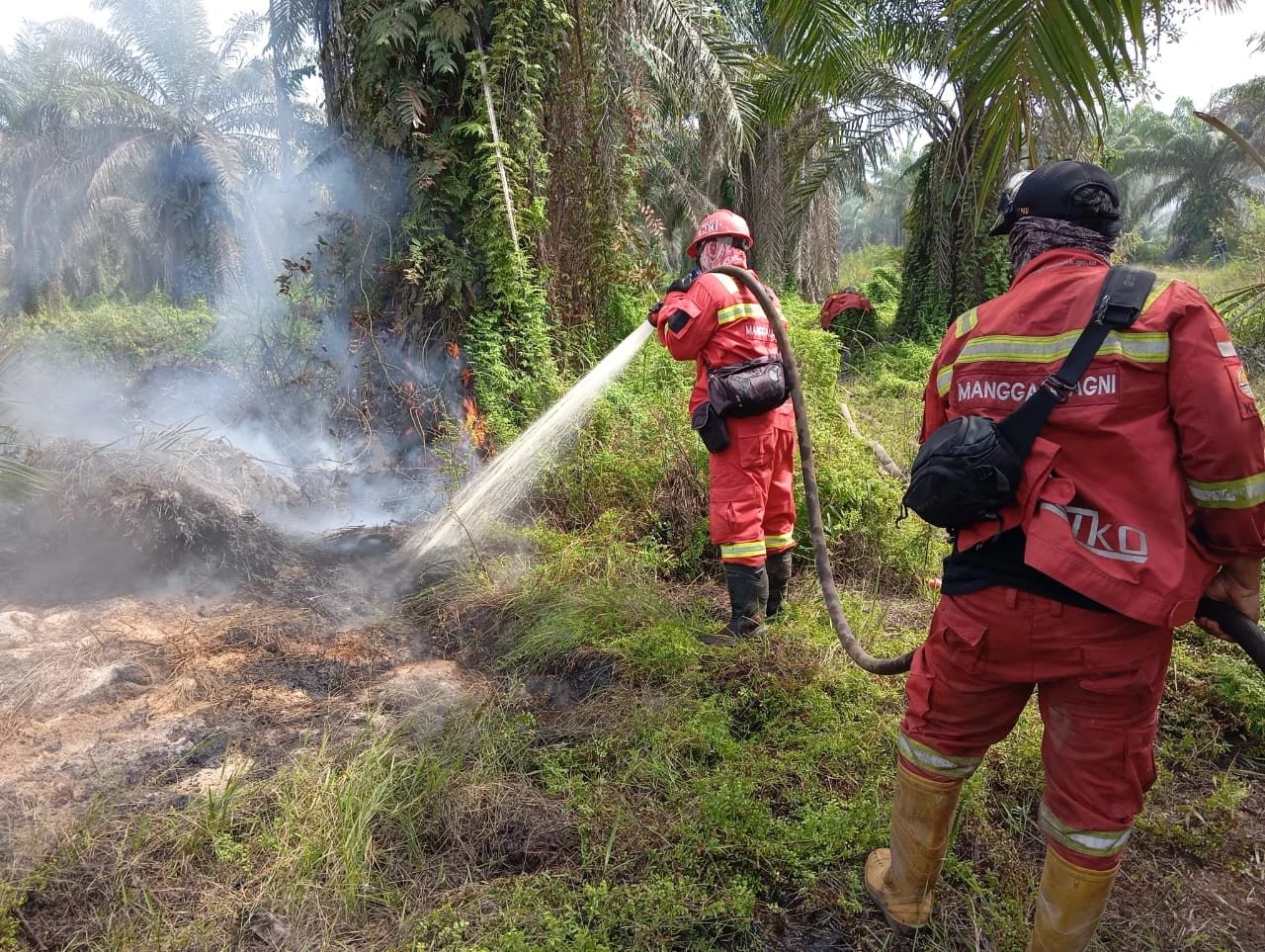 Cuaca Ekstrem Picu Karhutla di Riau, Tim Gabungan Kebut Pemadaman Api