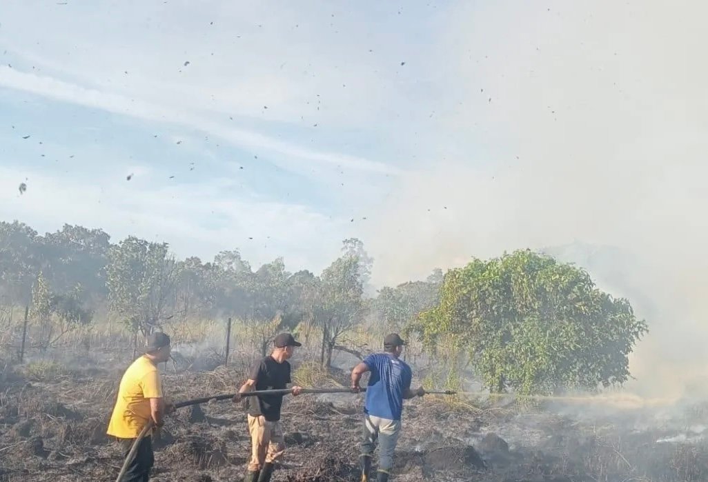 BNPB: Kebakaran Hutan dan Lahan Masih Melanda Dua Kabupaten di Aceh