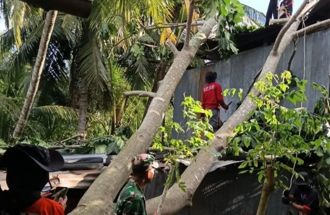 BNPB: Tim TRC Sidrap Percepat Pembersihan Puing Pascabencana Angin Kencang