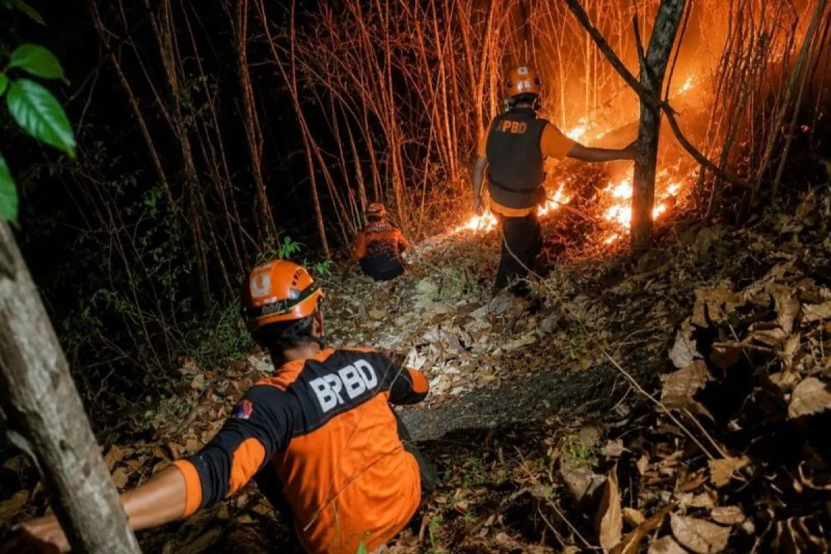 Kebakaran Gunung Puncang di Jatim Hanguskan Lahan Seluas Dua Hektare