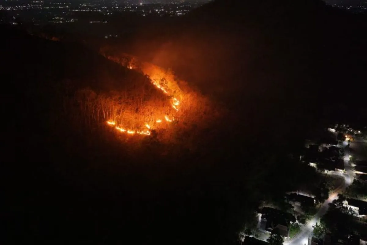 Kebakaran Hebat di Gunung Gombak Ponorogo Hanguskan Belasan Hektare Lahan Kebakaran Hebat di Gunung Gombak Ponorogo Hanguskan Belasan Hektare Lahan
