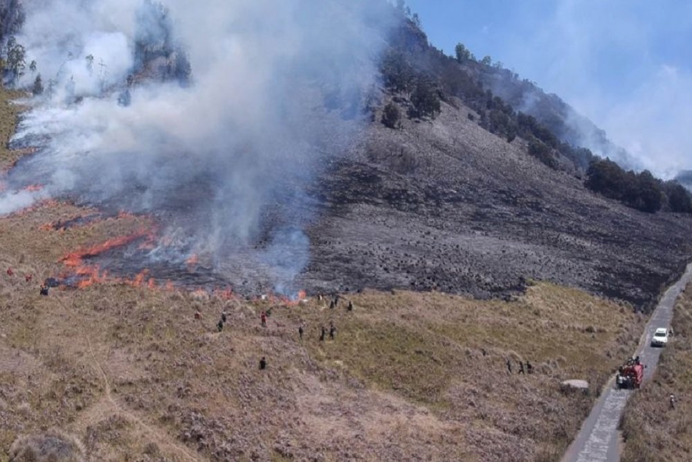 TNBTS Catat 520 Hektare Area Terdampak Kebakaran di Kawasan Bromo TNBTS Catat 520 Hektare Area Terdampak Kebakaran di Kawasan Bromo