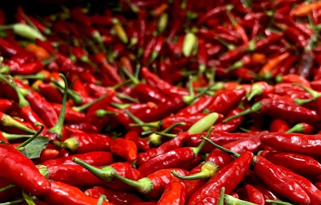 Update Harga Pangan PIHPS: Cabai Rawit Rp67.350 dan Telur Ayam Rp29.350 per Kg Update Harga Pangan PIHPS: Cabai Rawit Rp67.350 dan Telur Ayam Rp29.350 per Kg